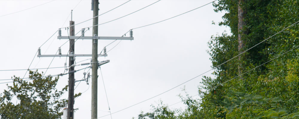 Image of Power lines running near trees