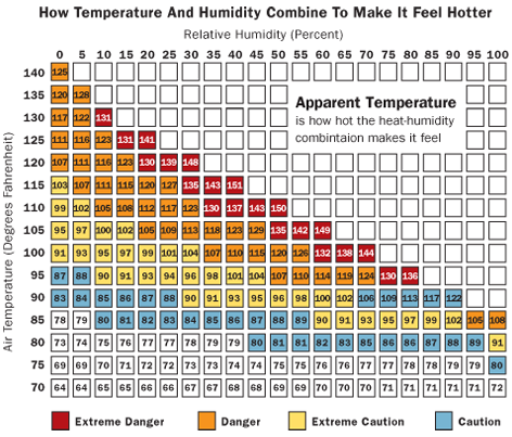 How Temperature and Humidity Combine To Make It Feel Hotter