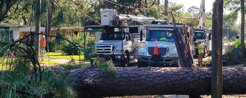 JEA assessing power outage at St. Johns Town Center